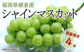 シャインマスカット 4房 正箱（約1.8kg）★(有)ティース【配送不可：沖縄・離島】 果物類 ぶどう フルーツ ブドウ 