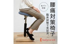 バランス シナジー(カバー付き)ラウンドシート インテリア 家具 椅子 チェア 腰が痛くなりにくい 腰痛対策椅子 腰痛対策 座り仕事 自宅 デスクワーク 