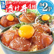 KYF118　【CF-R5frp】 真鯛・ブリ・カンパチ・マグロの漬け丼セット4種×2P《迷子の真鯛を食べて応援 養殖生産業者応援プロジェクト》 ＃寄付額大幅見直し