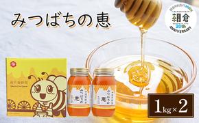 【朝倉市制施行20周年記念企画】 はちみつ みつばちの恵 1kg×2 バラエティボックス入 ハチミツ 蜂蜜 