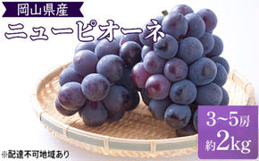早期受付 ぶどう 晴れの国 ピオーネ 2kg（3～5房）化粧箱入り 岡山県 高梁市 ブドウ 葡萄 果物 フルーツ