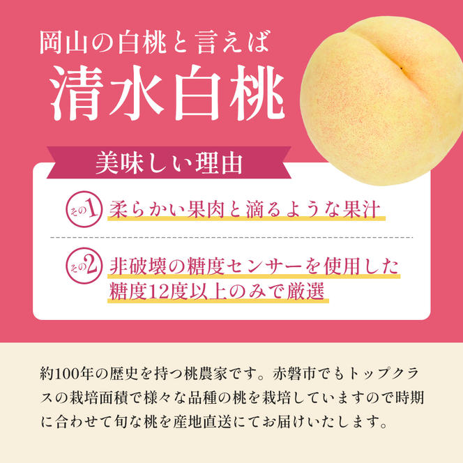 桃 2025年 先行予約 清水 白桃 をお届け！約3.0kg 9～12玉 糖度センサー選果 糖度12度以上 もも モモ 岡山県 赤磐市産 国産 フルーツ あみかフルーツ 