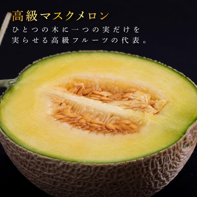 SKS023　【CF-R5frp】 “高知県産”高級マスクメロン（ご贈答・ギフト用）1玉入〈南国市共通返礼品〉【発送期間：4月～12月（9カ月）】【1月～3月は気候温度不安定の為出荷不可となります。】