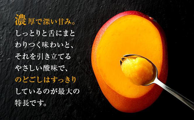 ぎふ清流完熟マンゴー3個セット｜果物 フルーツ ※北海道・沖縄・離島への配送不可